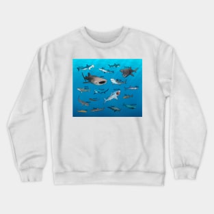 Shark Species Crewneck Sweatshirt